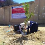 Afforestation of 8 schools – project to Engaging Young in civic life
