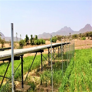  Supply, installation, and operation of a solar pumping system